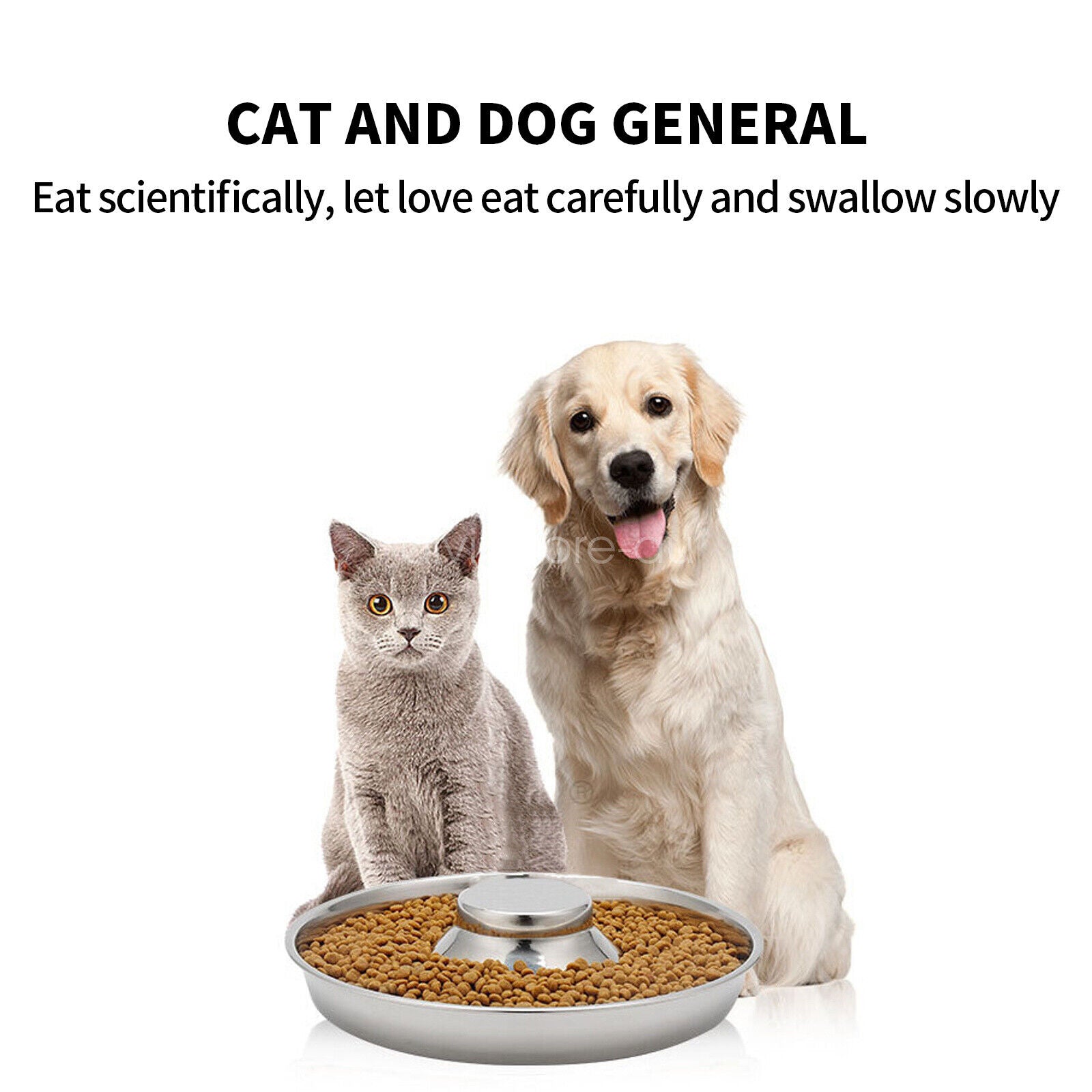 Stainless Dish Pet Feeder Bowl