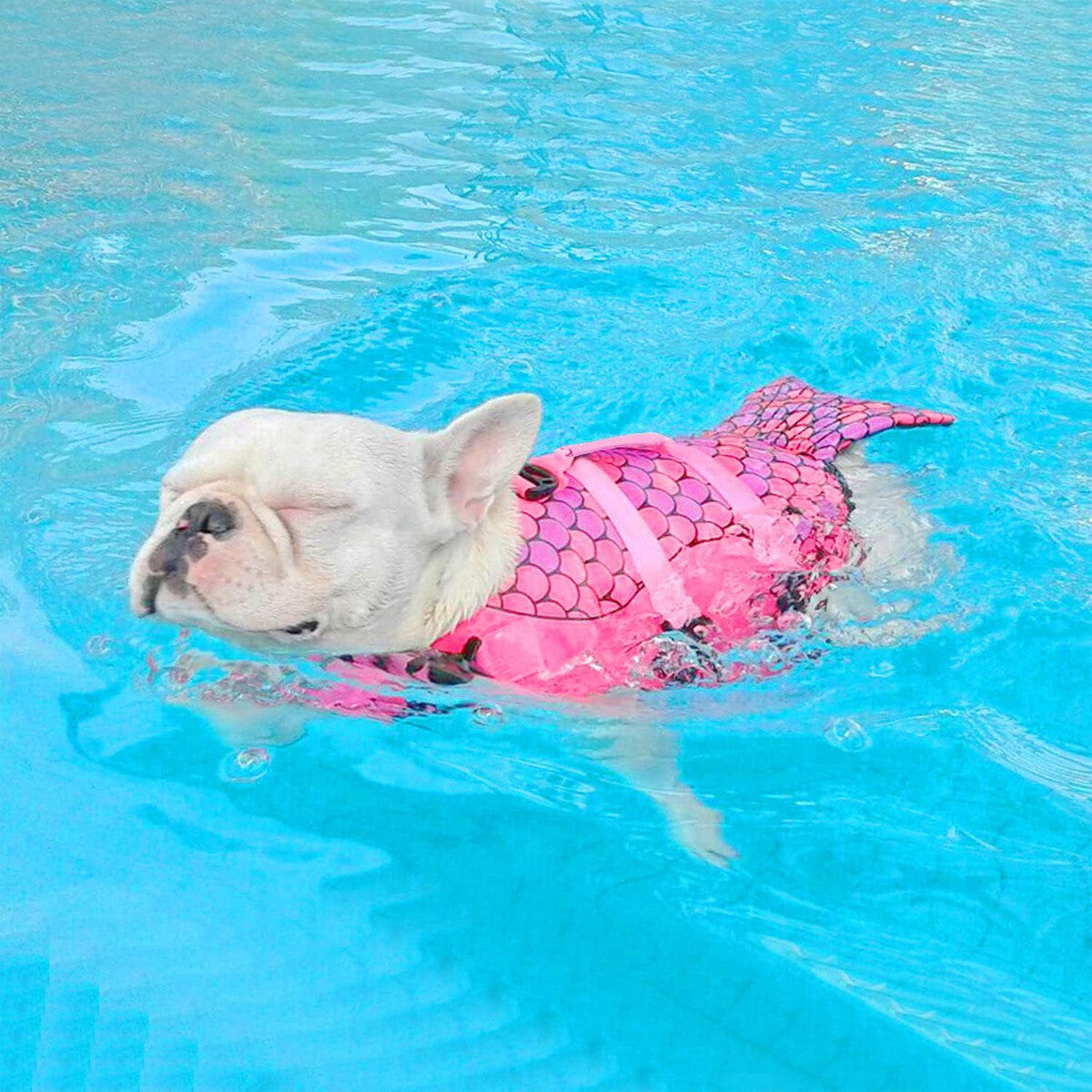 Dog Life Jacket