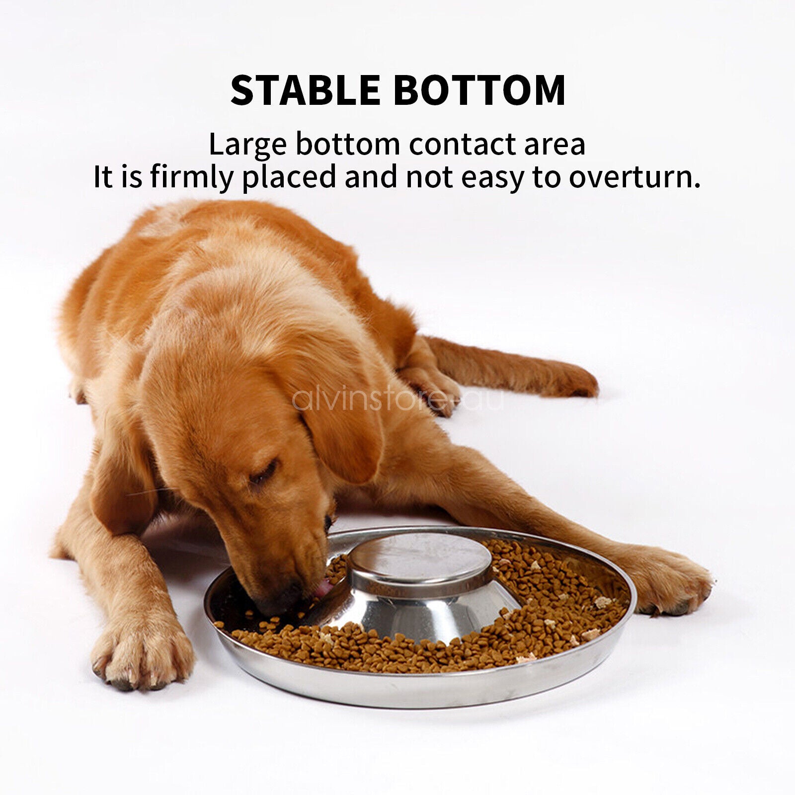 Stainless Dish Pet Feeder Bowl