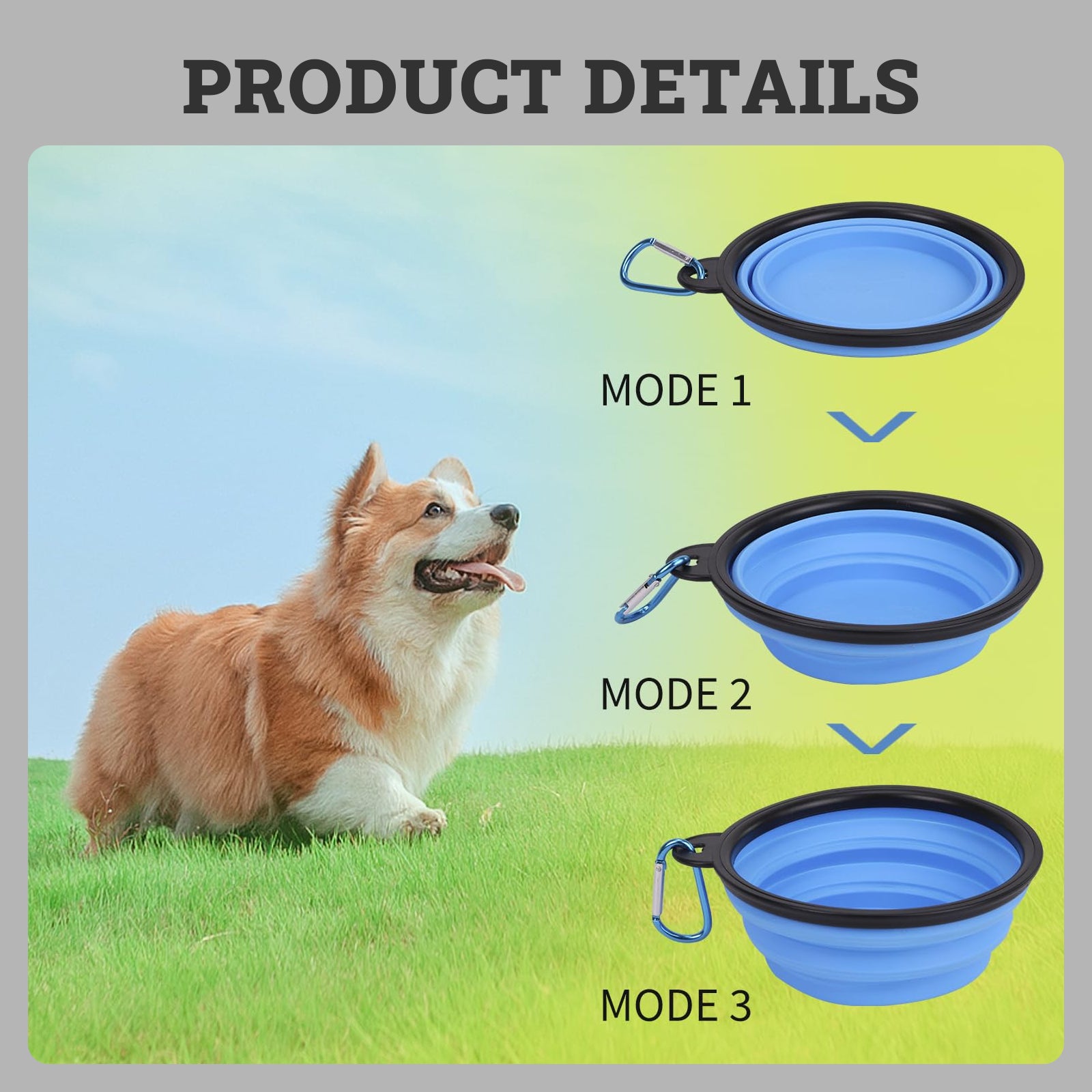 Portable Silicone Foldable Pet Bowl 